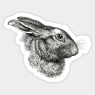 The Hare Sticker